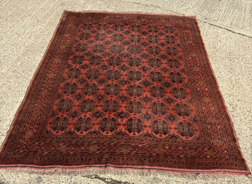 Genuine hand knotted - hand-knotted, afghan